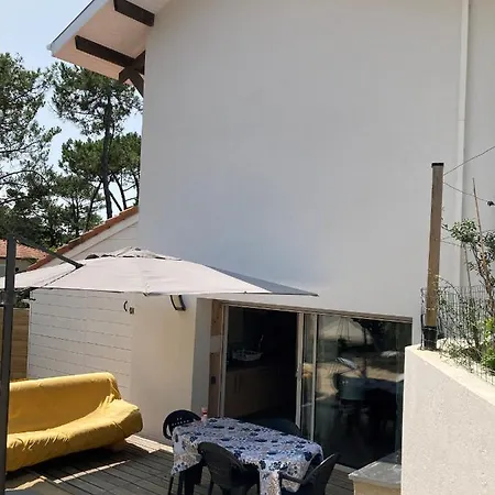 Apartment Santocha